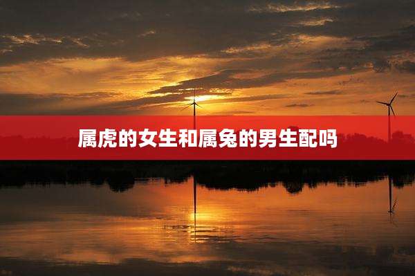 属虎的女生和属兔的男生配吗