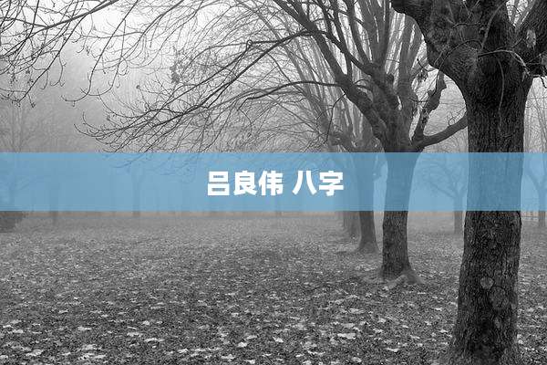 吕良伟 八字