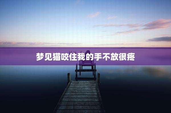 梦见猫咬住我的手不放很疼