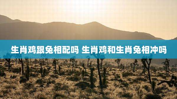 生肖鸡跟兔相配吗 生肖鸡和生肖兔相冲吗