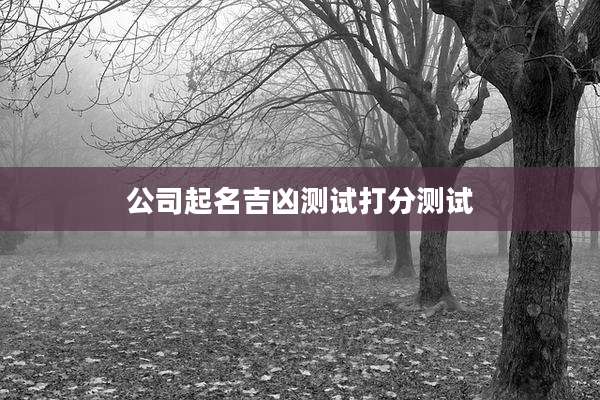 公司起名吉凶测试打分测试