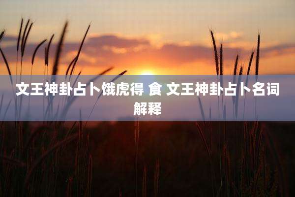 文王神卦占卜饿虎得 食 文王神卦占卜名词解释