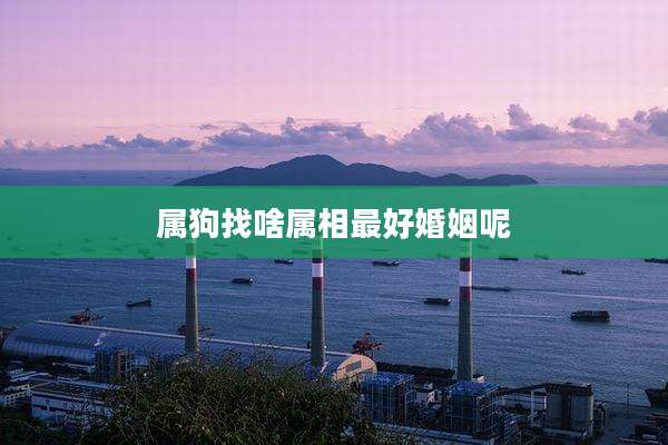 属狗找啥属相最好婚姻呢