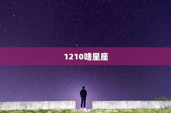 1210啥星座