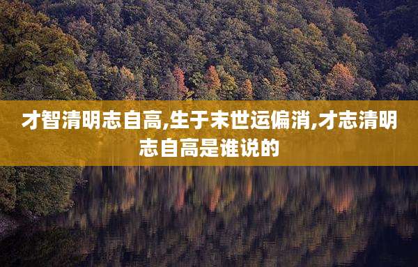 才智清明志自高,生于末世运偏消,才志清明志自高是谁说的