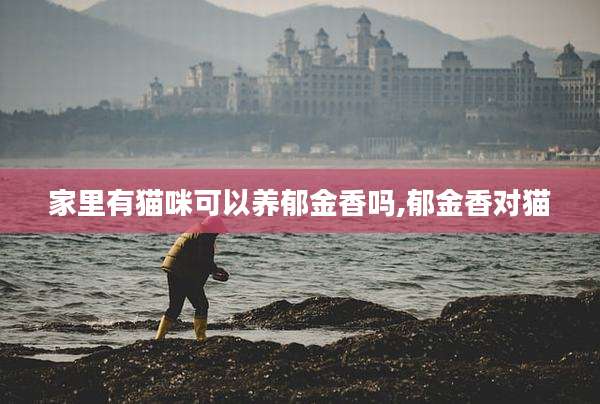 家里有猫咪可以养郁金香吗,郁金香对猫