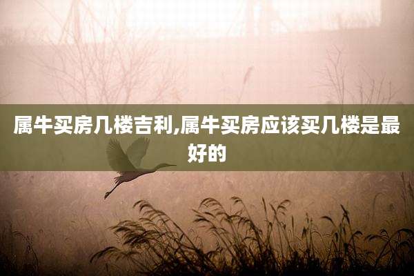 属牛买房几楼吉利,属牛买房应该买几楼是最好的