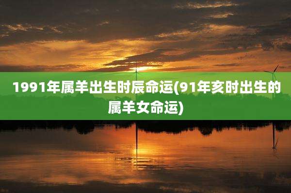 1991年属羊出生时辰命运(91年亥时出生的属羊女命运)