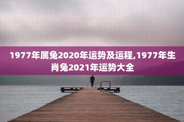 1977年属兔2020年运势及运程,1977年生肖兔2021年运势大全