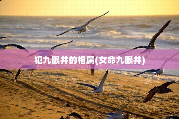 犯九眼井的相属(女命九眼井)