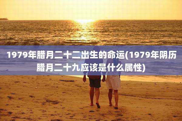 1979年腊月二十二出生的命运(1979年阴历腊月二十九应该是什么属性)