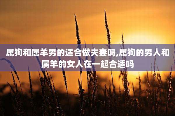 属狗和属羊男的适合做夫妻吗,属狗的男人和属羊的女人在一起合适吗