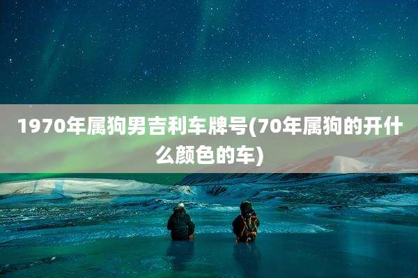 1970年属狗男吉利车牌号(70年属狗的开什么颜色的车)