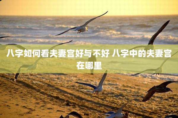 八字如何看夫妻宫好与不好 八字中的夫妻宫在哪里