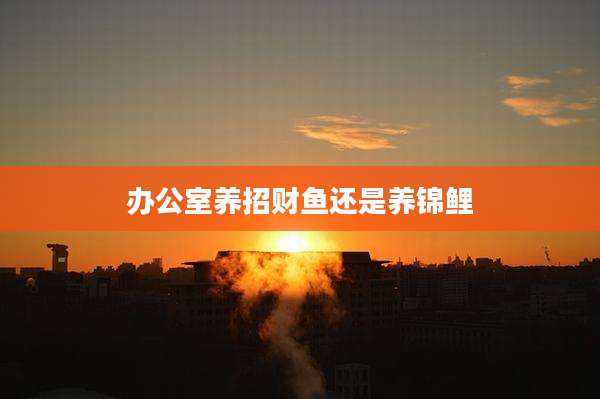 办公室养招财鱼还是养锦鲤
