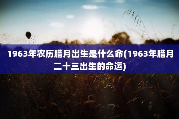 1963年农历腊月出生是什么命(1963年腊月二十三出生的命运)