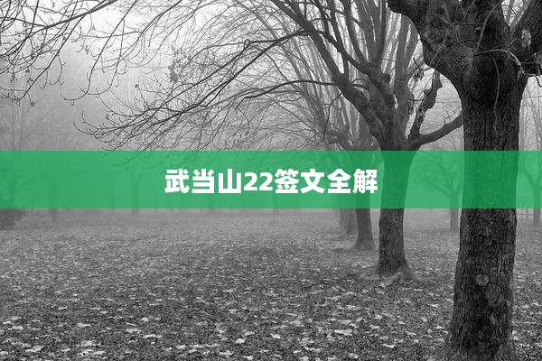 武当山22签文全解