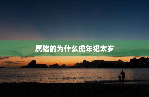 属猪的为什么虎年犯太岁