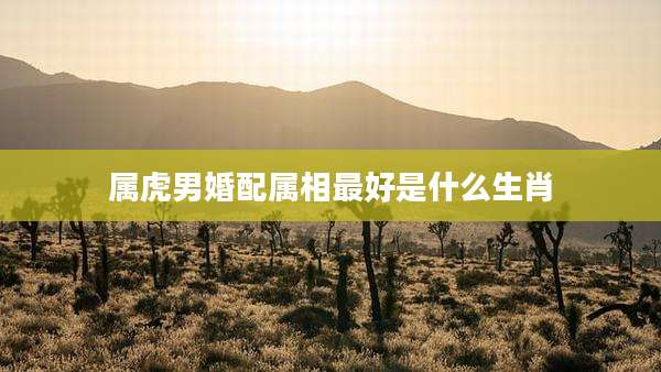 属虎男婚配属相最好是什么生肖