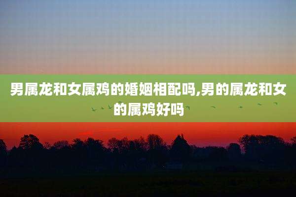 男属龙和女属鸡的婚姻相配吗,男的属龙和女的属鸡好吗