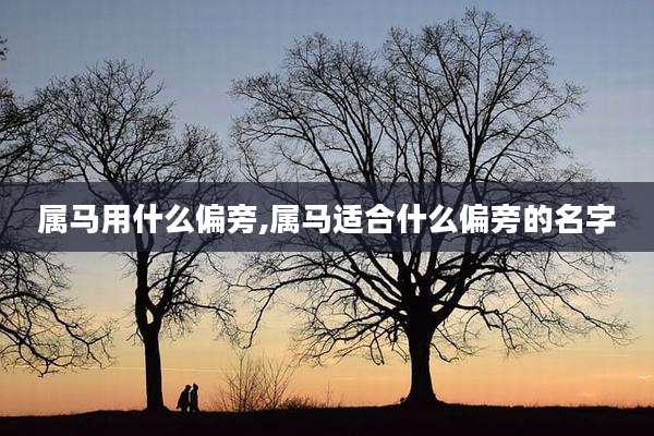 属马用什么偏旁,属马适合什么偏旁的名字