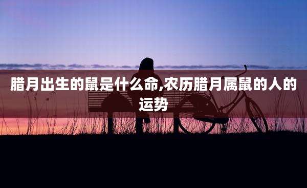 腊月出生的鼠是什么命,农历腊月属鼠的人的运势