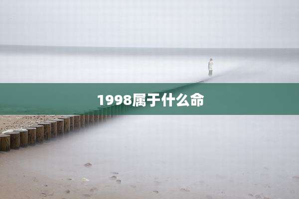 1998属于什么命