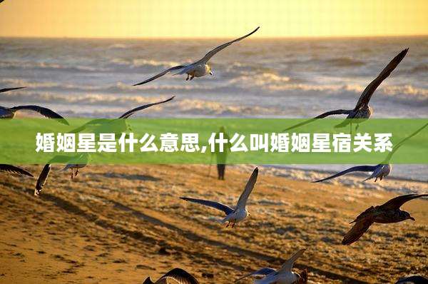 婚姻星是什么意思,什么叫婚姻星宿关系