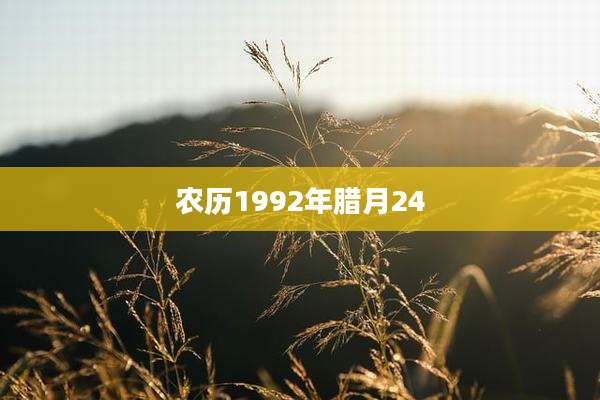 农历1992年腊月24