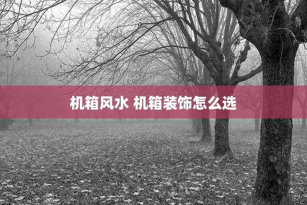 机箱风水 机箱装饰怎么选