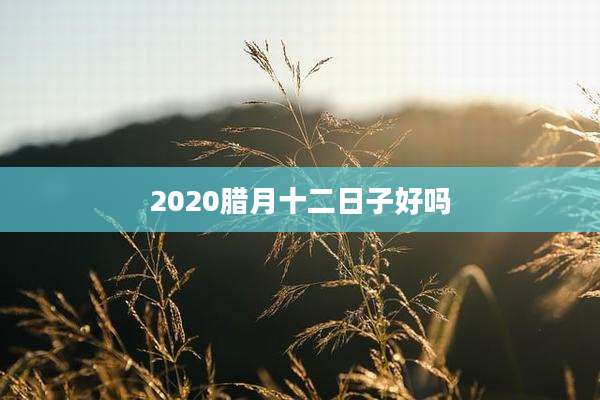 2020腊月十二日子好吗
