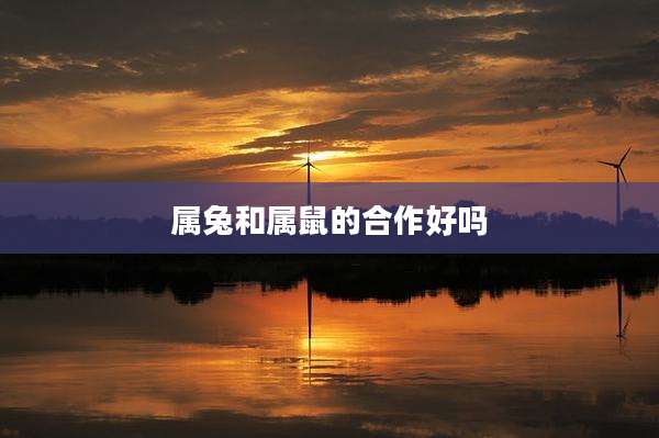 属兔和属鼠的合作好吗