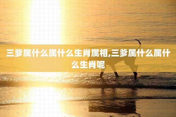 三爹属什么属什么生肖属相,三爹属什么属什么生肖呢