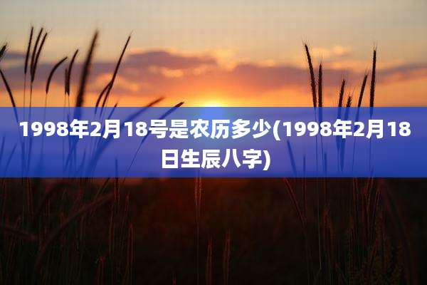 1998年2月18号是农历多少(1998年2月18日生辰八字)