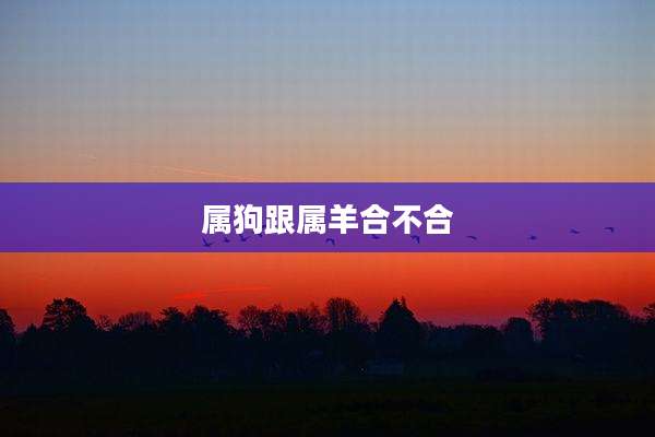 属狗跟属羊合不合