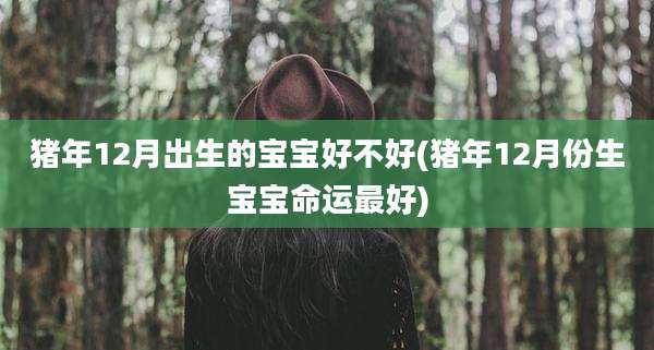 猪年12月出生的宝宝好不好(猪年12月份生宝宝命运最好)