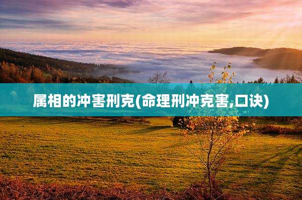 属相的冲害刑克(命理刑冲克害,口诀)