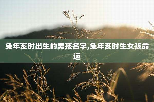 兔年亥时出生的男孩名字,兔年亥时生女孩命运