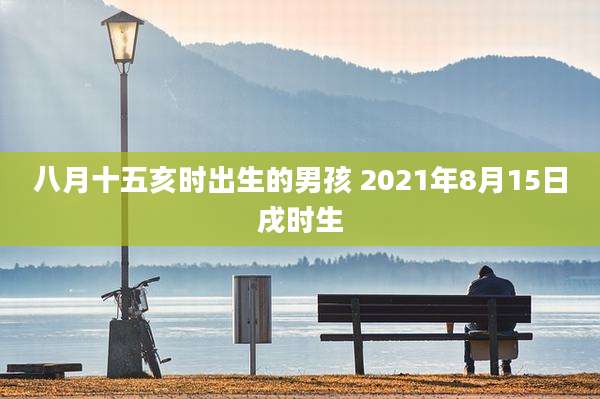 八月十五亥时出生的男孩 2021年8月15日戌时生