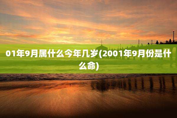 01年9月属什么今年几岁(2001年9月份是什么命)