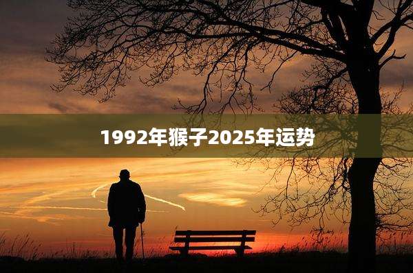 1992年猴子2025年运势