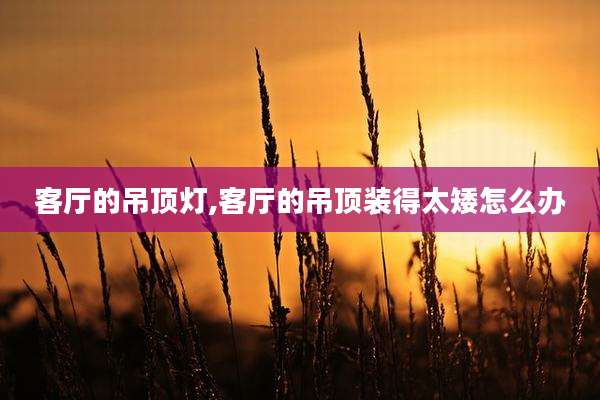客厅的吊顶灯,客厅的吊顶装得太矮怎么办