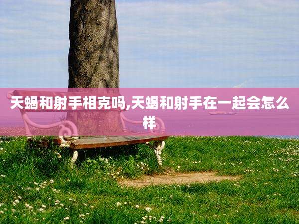 天蝎和射手相克吗,天蝎和射手在一起会怎么样
