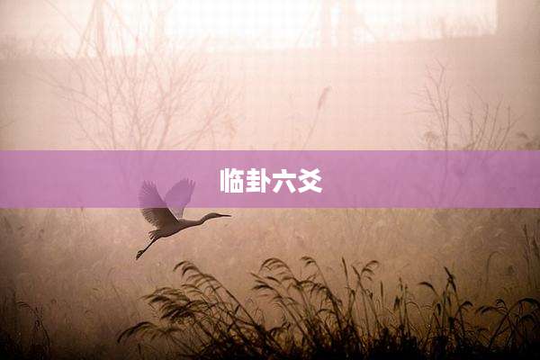 临卦六爻