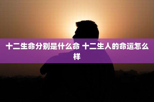 十二生命分别是什么命 十二生人的命运怎么样