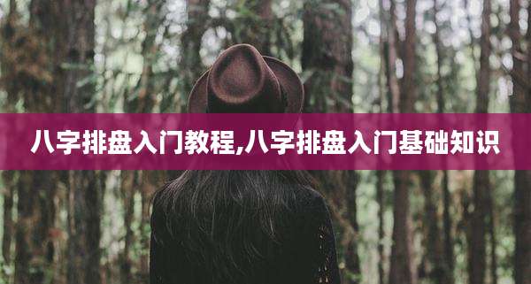 八字排盘入门教程,八字排盘入门基础知识
