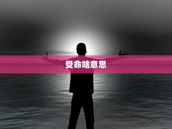 受命啥意思