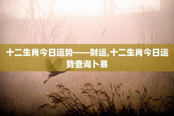 十二生肖今日运势――财运,十二生肖今日运势查询卜易