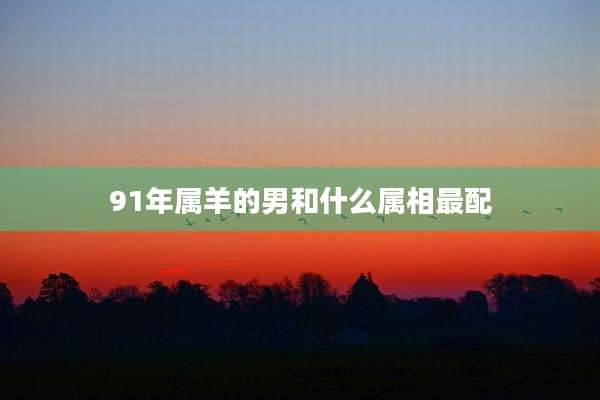 91年属羊的男和什么属相最配