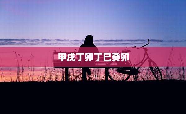 甲戌丁卯丁巳癸卯